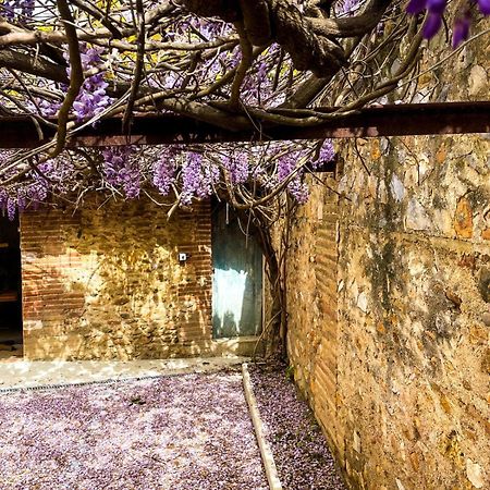 Gite De Charme Du Domaine Pagnon Guillemette Torreilles Eksteriør bilde