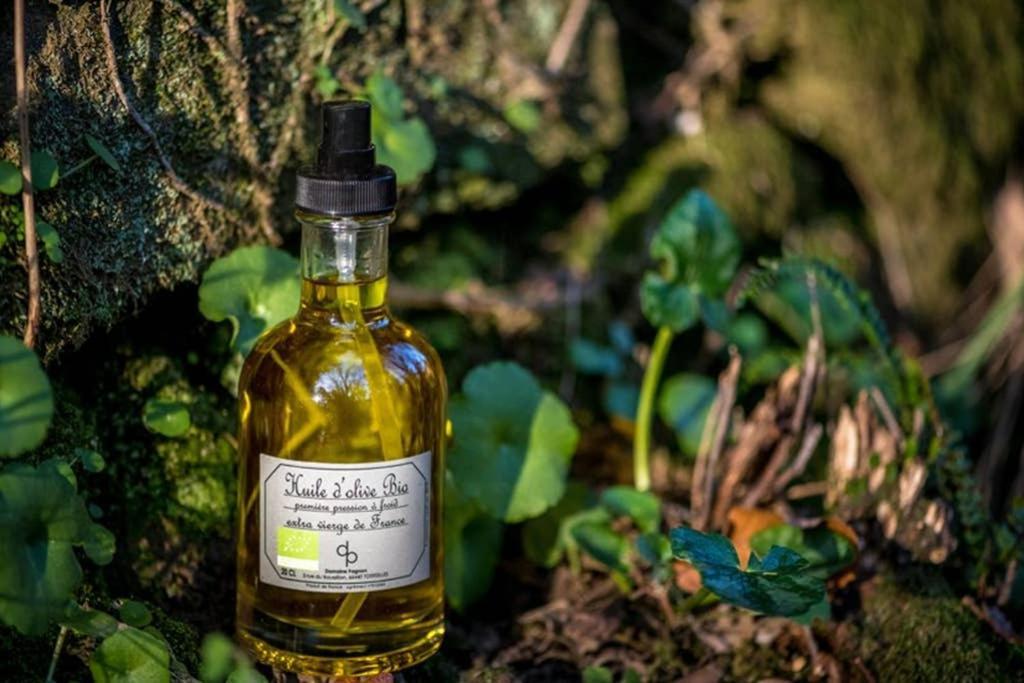 Gite De Charme Du Domaine Pagnon Guillemette Torreilles Eksteriør bilde