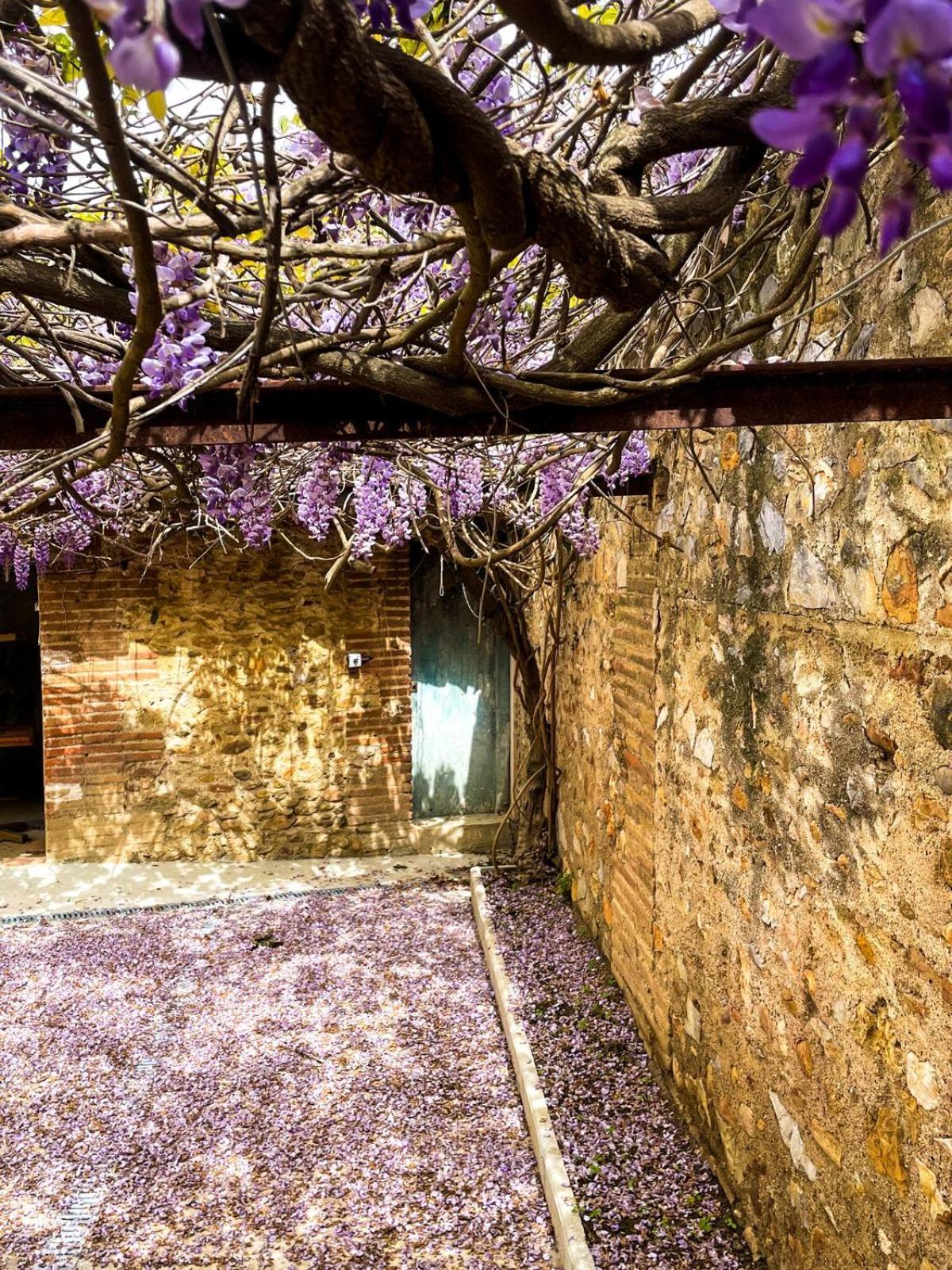 Gite De Charme Du Domaine Pagnon Guillemette Torreilles Eksteriør bilde